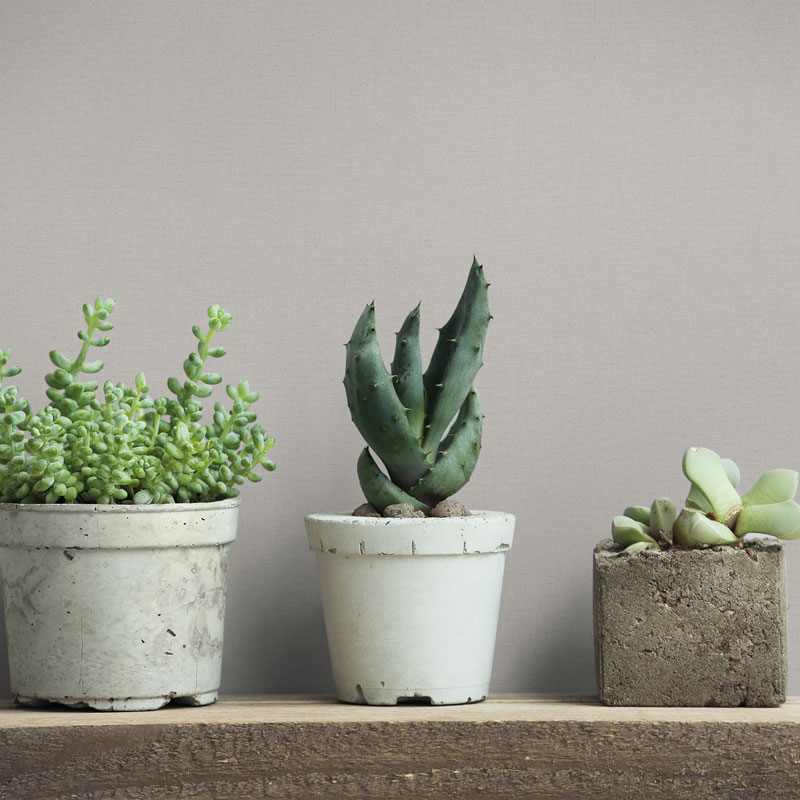 Papel pintado Hojaraska 34838 1