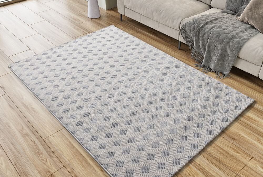 Alfombra Estilo nórdico Baresa Plata 12951 19