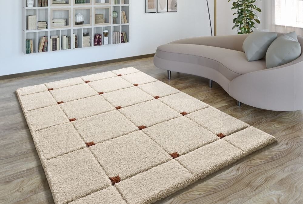 Alfombra Shaggy Estilo Geométrico Brenda Caldera 8830 05