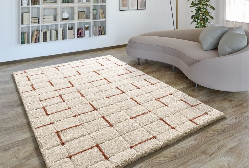 Alfombra Shaggy Estilo Geométrico Brenda Caldera 8834 05