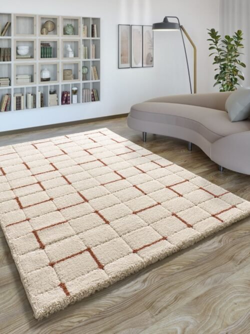 Alfombra Shaggy Estilo Geométrico Brenda Caldera 8834 05