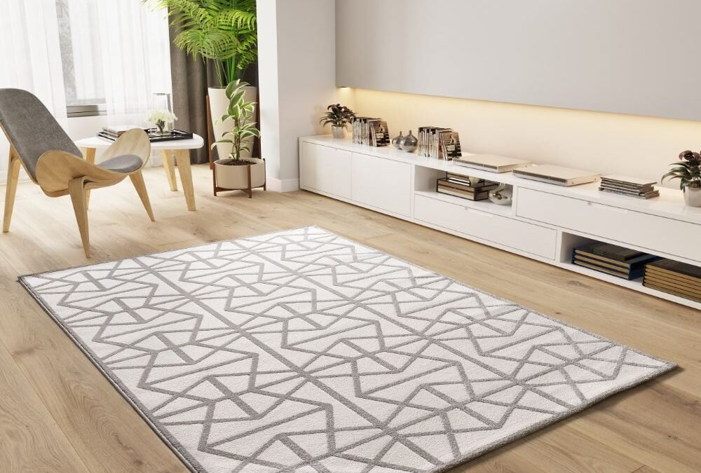Alfombra Geométrica Con Relieve Flora Plata 12937 19