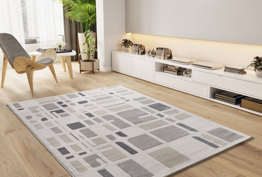 Alfombra Geométrica Con Relieve Flora Plata 12955 19