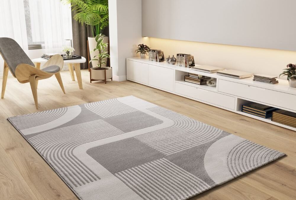 Alfombra Geométrica Con Relieve Flora Plata 12960 19