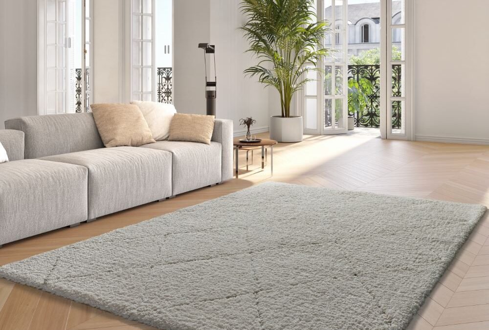 Alfombra Atesa Blanco 80260 04