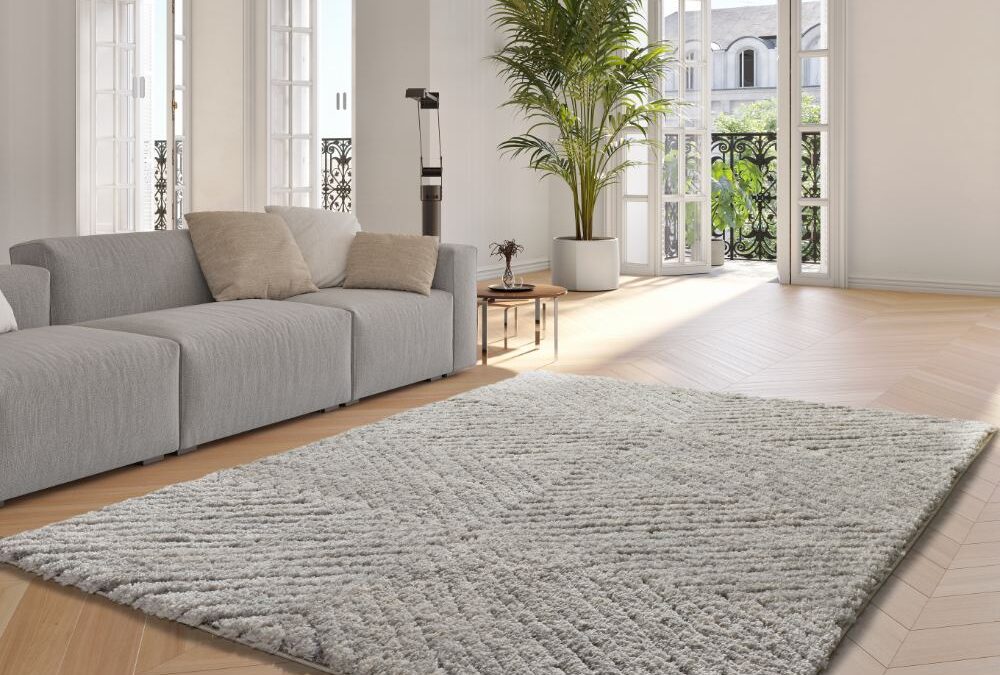 Alfombra Shaggy nórdico Atesa Plata 80365 19