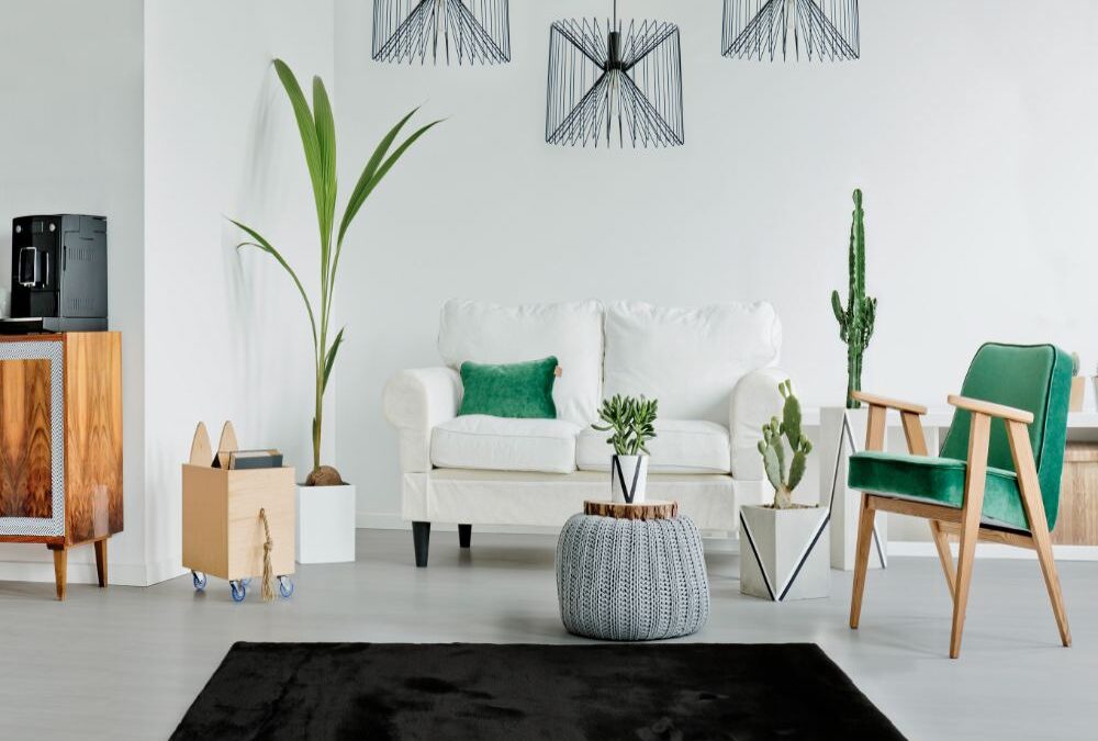 Alfombra Shaggy de pelo largo Fox Liso Negro 08