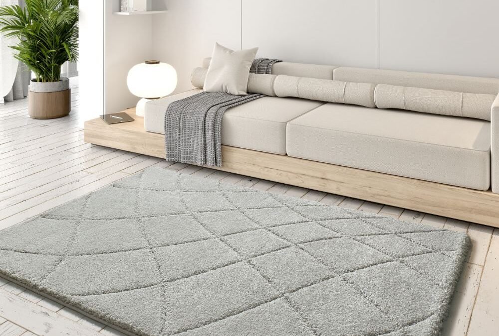 Alfombra Shaggy con relieve Molier Plata 8785 19