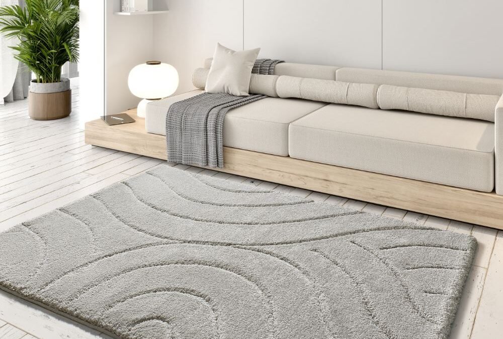 Alfombra Shaggy con relieve Molier Plata 8786 19