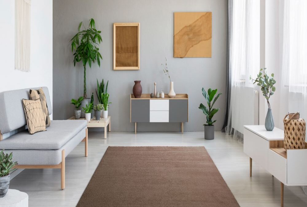 Alfombra Shaggy de pelo largo Montana Liso Beig 02