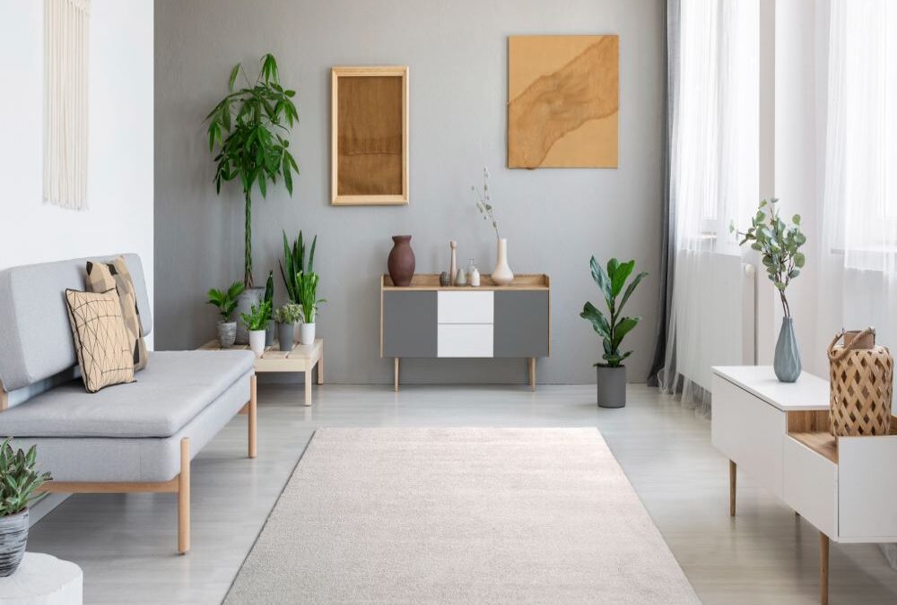 Alfombra Shaggy de pelo largo Montana Liso Blanco 04