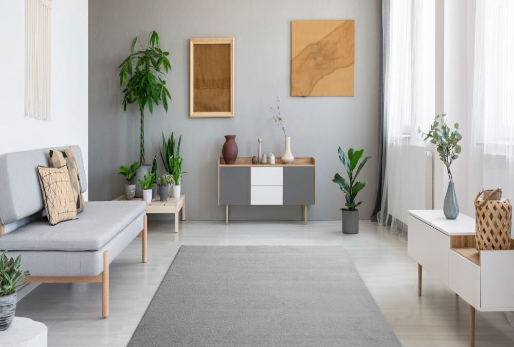 Alfombra Shaggy de pelo largo Montana Liso Plata 19